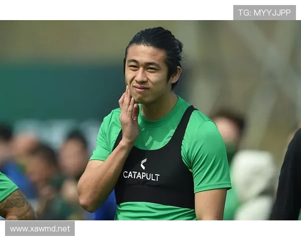 张玉宁老东家维特斯被荷兰足协吊销执照 失去职业足球资格引发关注